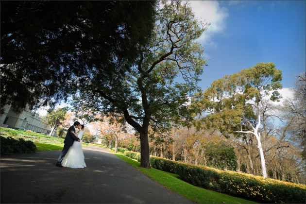 christine carlton gardens s1