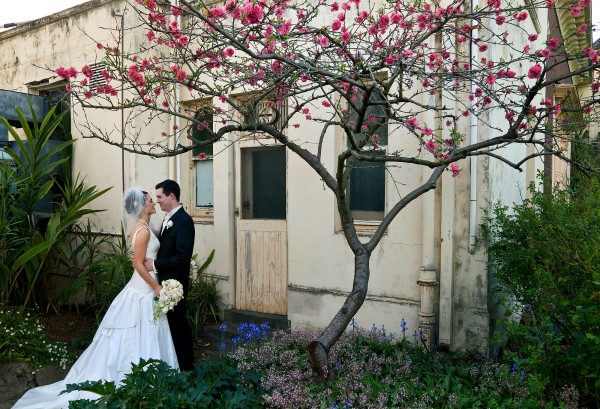 serendipity_photography_melbourne_rippon_lea_blossom_kiss